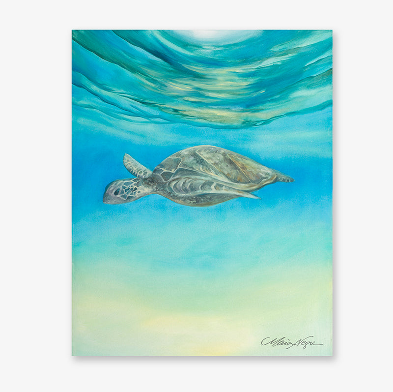 Maia Negre Maui turtle 8x10" giclee