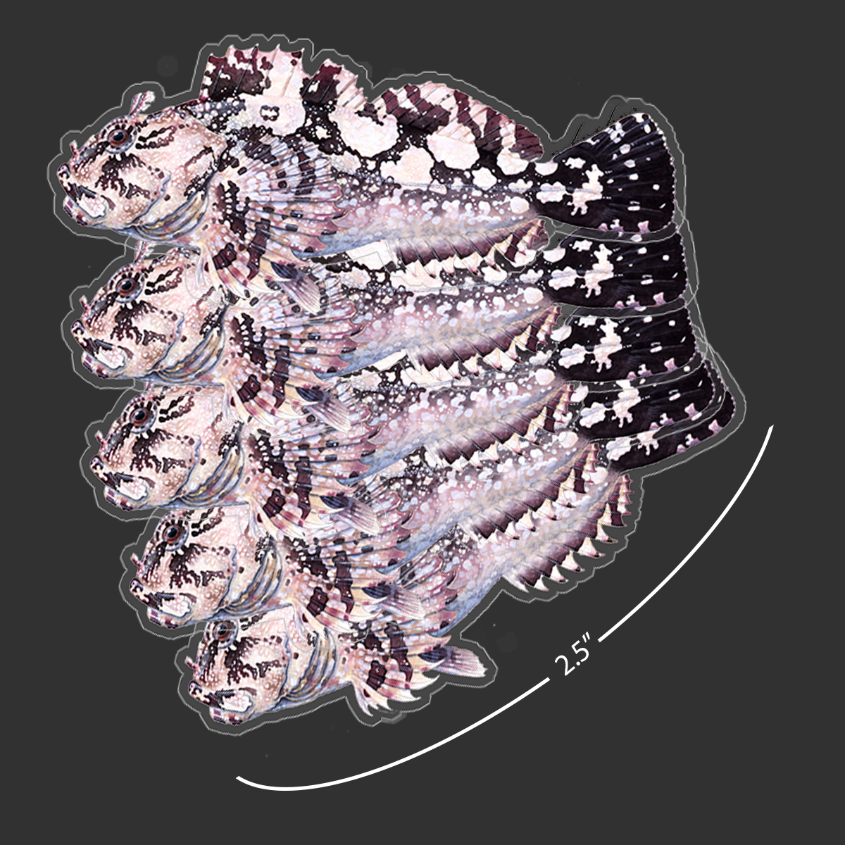 Mini Cabezon Stickers (Pack of 5)