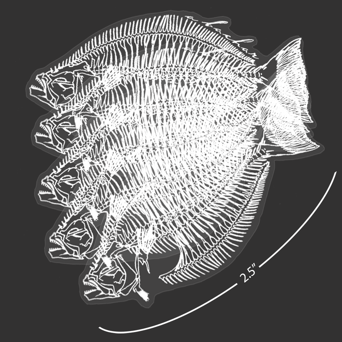 Mini Halibut Skeleton Stickers (Pack of 5)