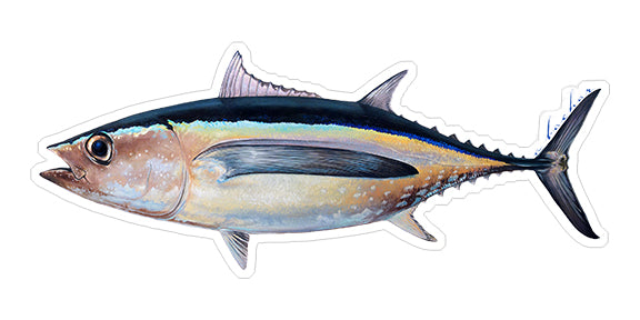 Mini Albacore Tuna Stickers (Pack of 5)