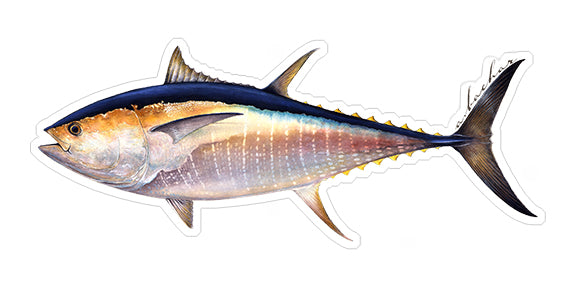 Mini Bluefin Tuna Stickers (Pack of 5)