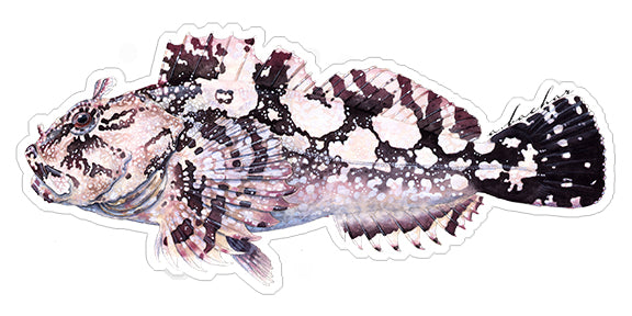 Mini Cabezon Stickers (Pack of 5)