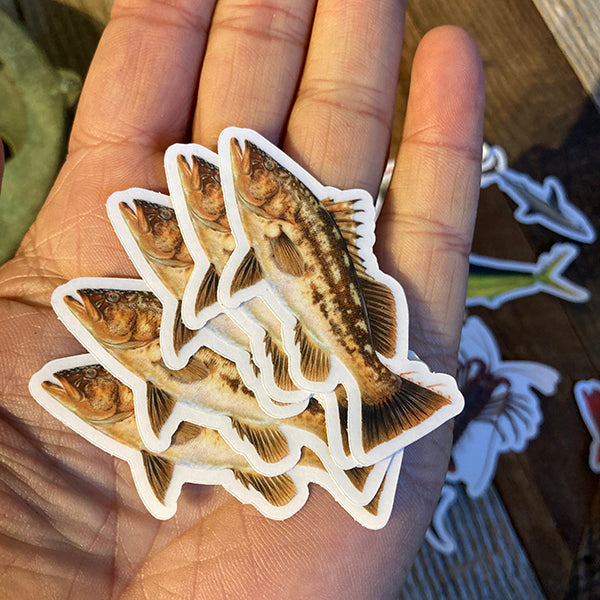 Mini Fish Sticker 5 Combo Pack Collection