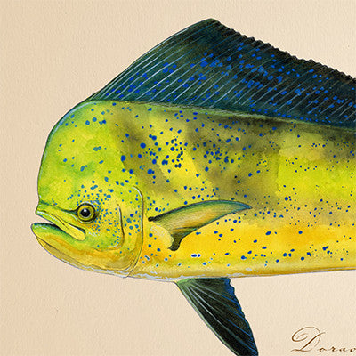 Inshore and Offshore Fishing Art illustration Prints