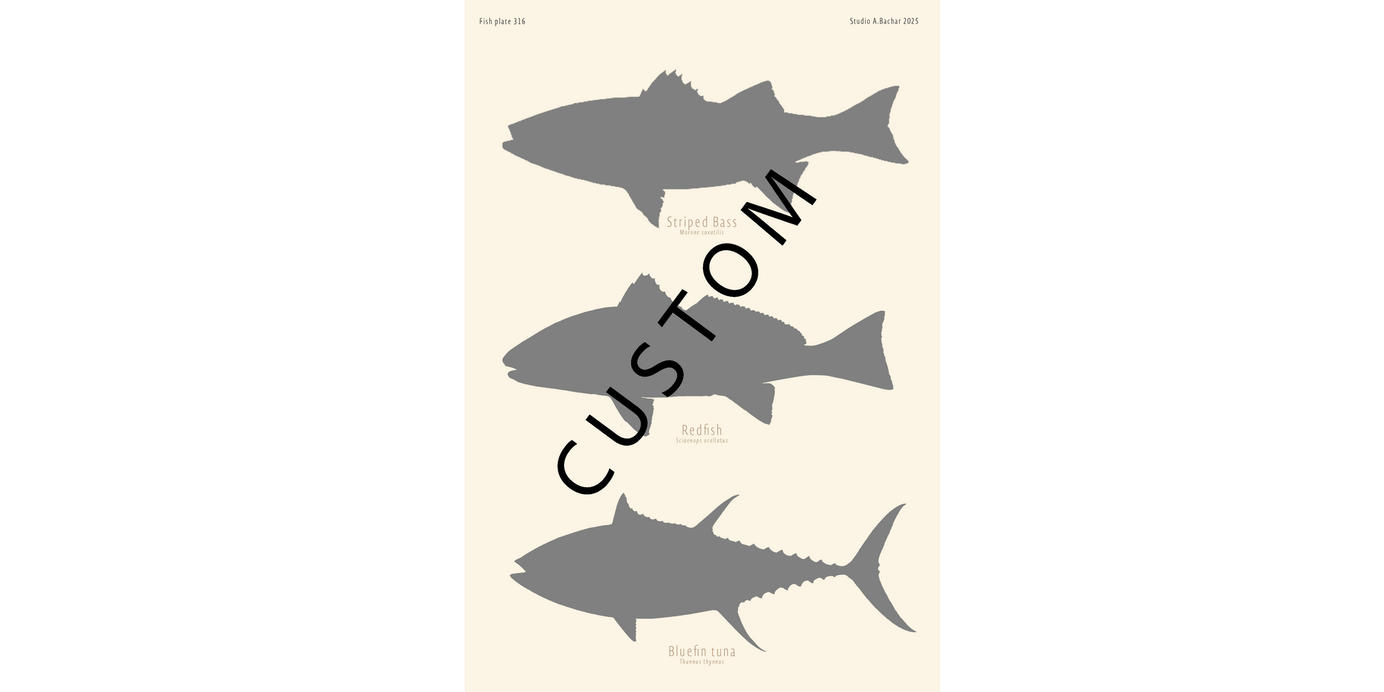 Custom Fish Slam - Florida/Gulf/East