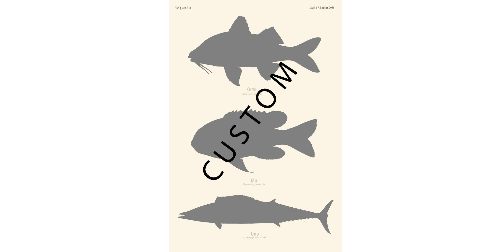 Custom Fish Slam - Hawaii