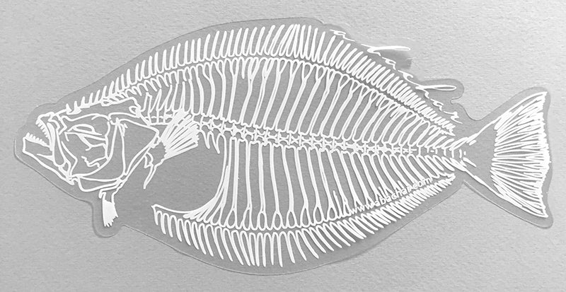 Halibut Skeleton - 8"