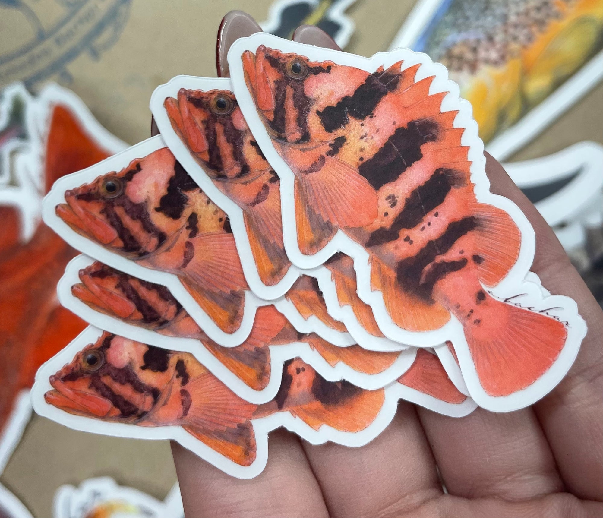 Mini Tiger Stickers (Pack of 5)