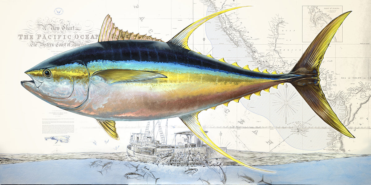 Yellowfin Tuna Over Nautical Charts