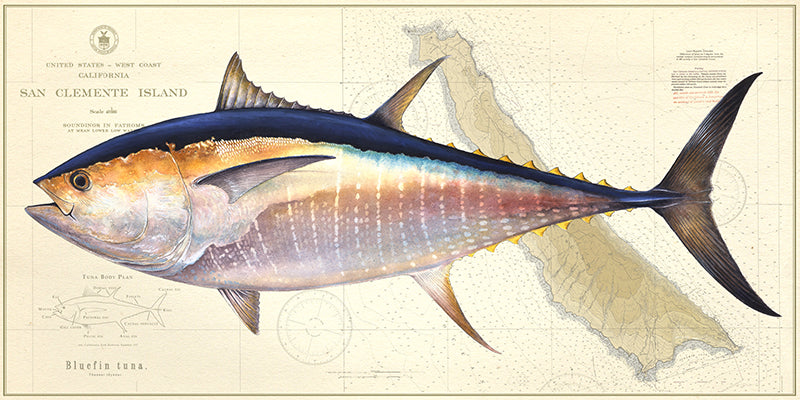 Bluefin Tuna Over Nautical Charts